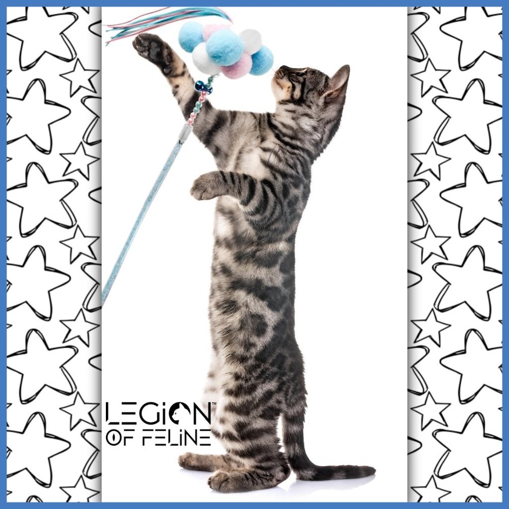 ❤️Plenty of Pom Poms Ribboned Cat Toy - Blue😽